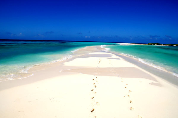 Las Mejores posadas en Los Roques